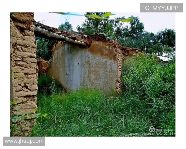 塔山煤矿篮球明星的崛起与奋斗历程展现了青春的激情与梦想的追逐