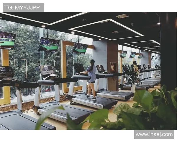 探索体育器材室的多样设备与使用场景全景展示